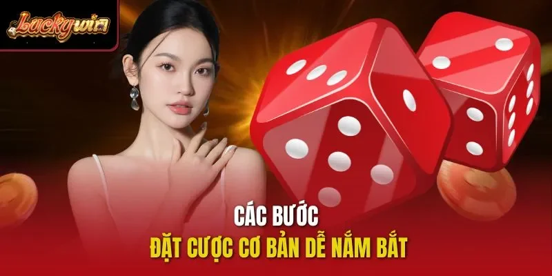 Các bước đặt cược cơ bản dễ nắm bắt
