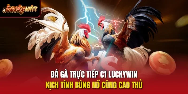 Đá gà trực tiếp C1