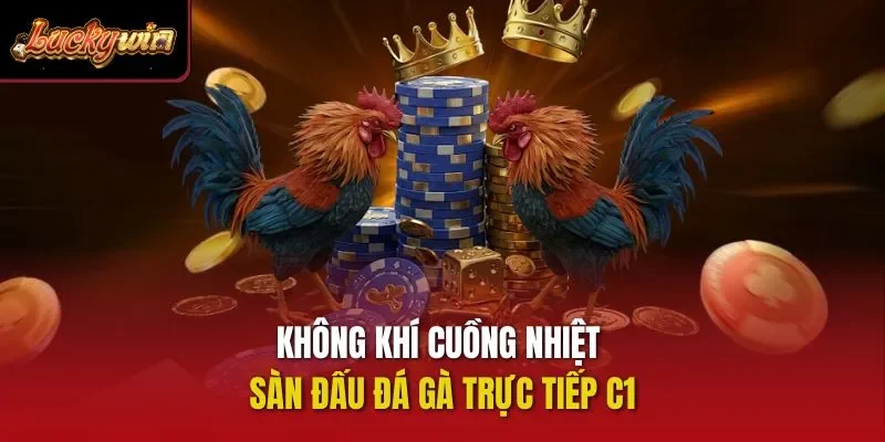 Không khí cuồng nhiệt sàn đấu Đá gà trực tiếp C1