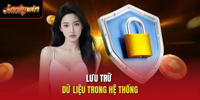 Lưu trữ dữ liệu trong hệ thống
