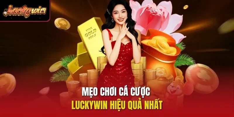 Mẹo chơi cá cược Luckywin hiệu quả nhất